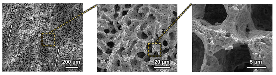 Three-panel SEM micrographs showing a porous, sponge-like structure at increasing magnification, with dashed callouts linking zoomed regions and scale bars (200, 20, and 5 &micro;m).